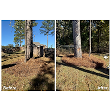 Pine-Straw-Installation-Oxford-MS 1